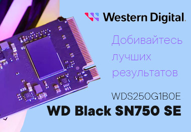 SSD WD Black SN750 SE